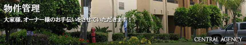 Ǘ